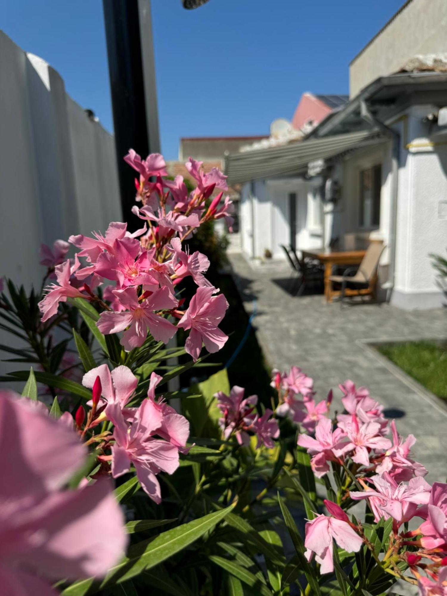 Nord 22 Villa Constanta Luaran gambar